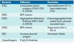 Virulence Factor associated with E.Coli strains