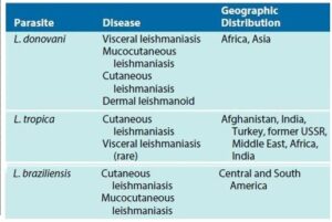 Geographical distributions of Leishmania causing range of diseases