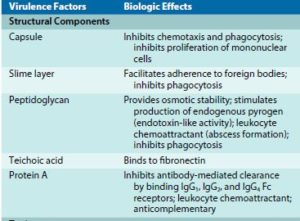 Staphylococcus Epidermidis - an overview