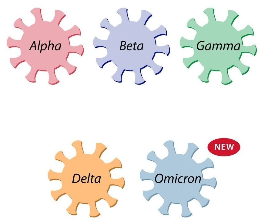 Omicron: Overview, Transmissible, Vaccination and Severity of disease