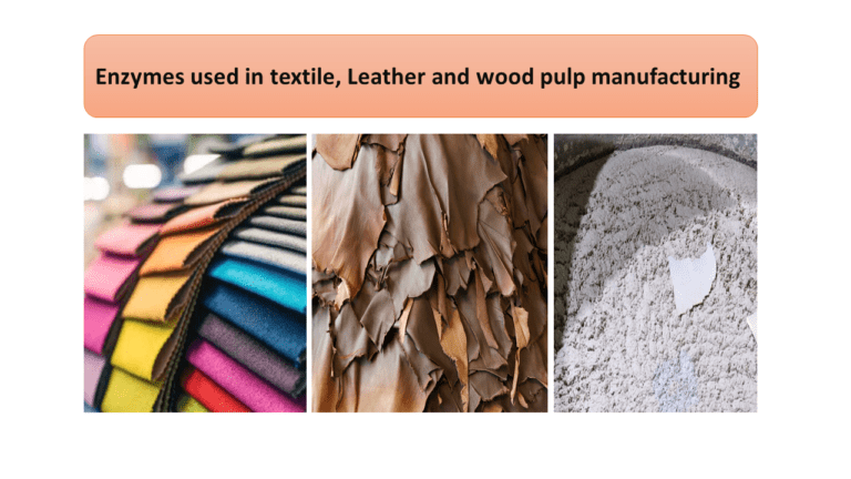 Enzymes used in textile, Leather and wood pulp manufacturing