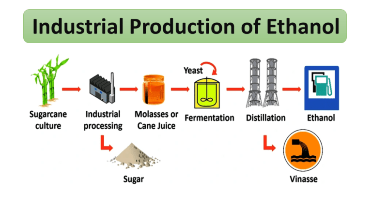 Industrial Production of Ethanol