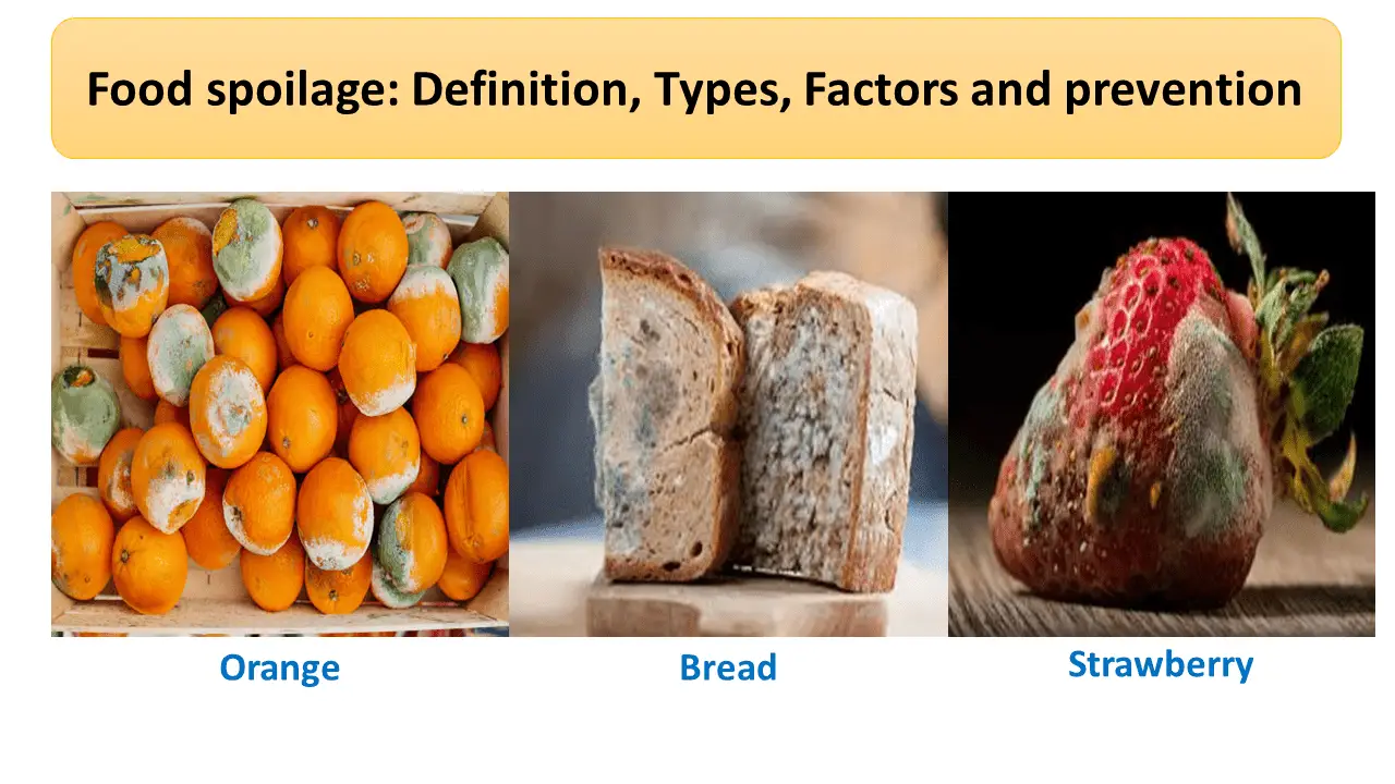 Food spoilage: Definition, Types, Factors and prevention