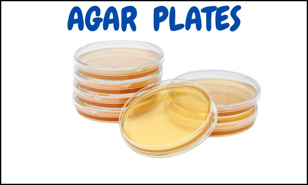 AGAR PLATES