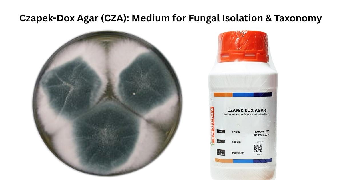 Czapek-Dox Agar (CZA): Medium for Fungal Isolation & Taxonomy