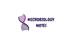 Microbiology Notes