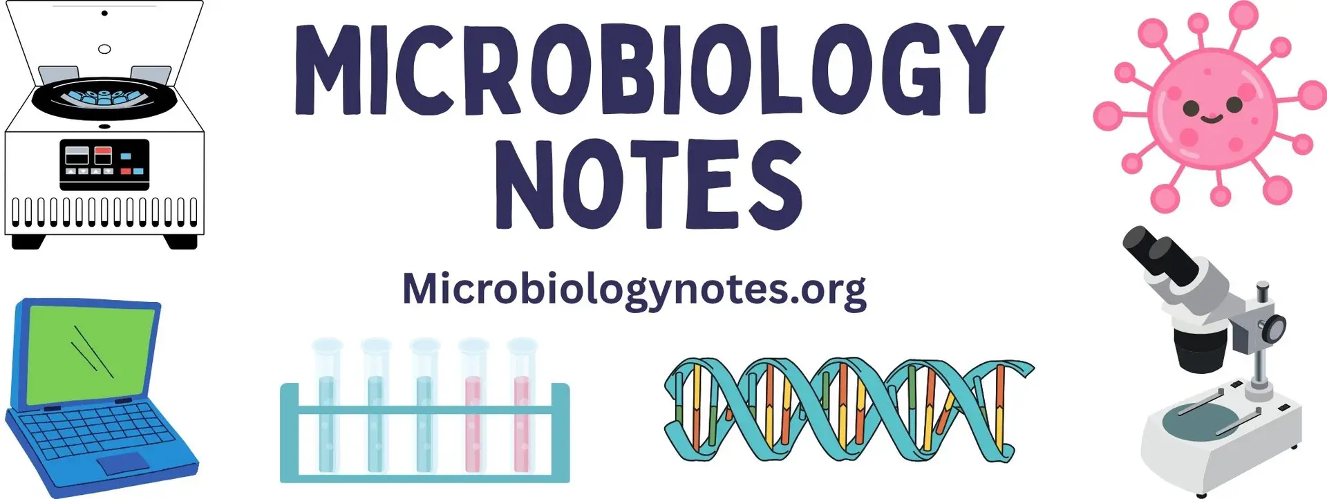 Microbiology Notes