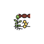 Recombinant DNA technology Notes