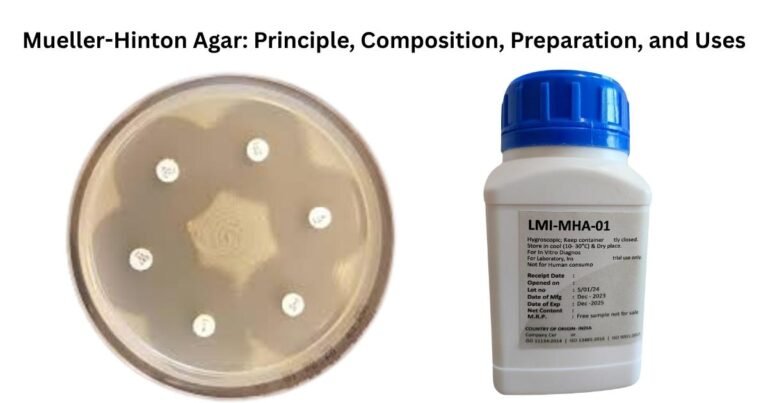 Mueller-Hinton Agar: Principle, Composition, Preparation, and Uses