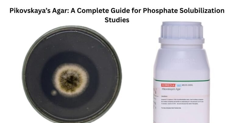 Pikovskaya’s Agar: A Complete Guide for Phosphate Solubilization Studies
