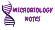 Microbiology Notes