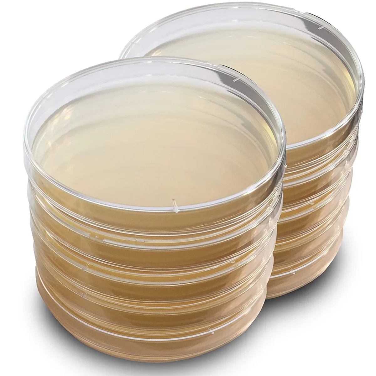 potato dextrose agar culture plates