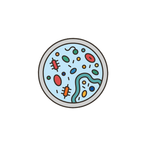 Basic Microbiology Quiz