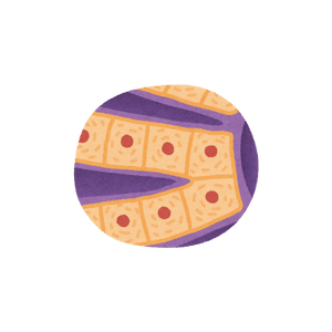 Cell Biology Quiz