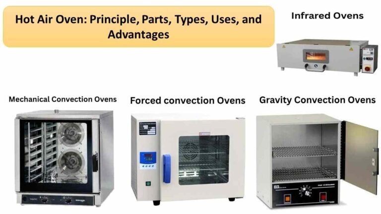 Hot Air Oven: Principle, Parts, Types, Uses, and Advantages