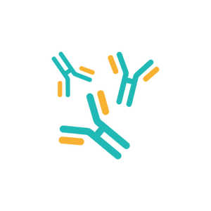 Immunology Quiz
