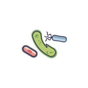 Bacteriology Quiz
