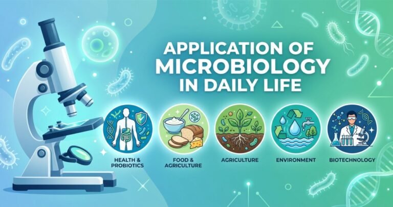 Application of microbiology in daily life