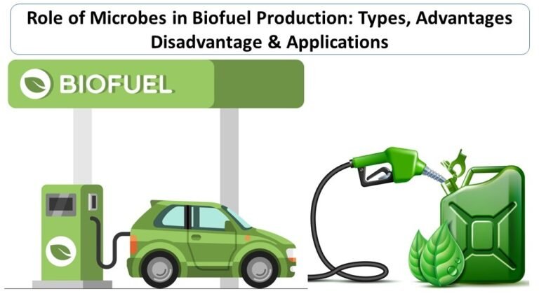 Role of Microbes in Biofuel Production