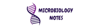 microbiology notes